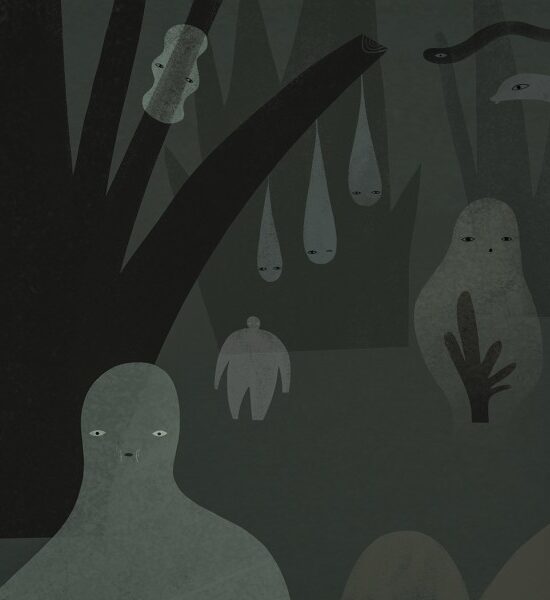 İllüstrasyon: Sarah Goodreau