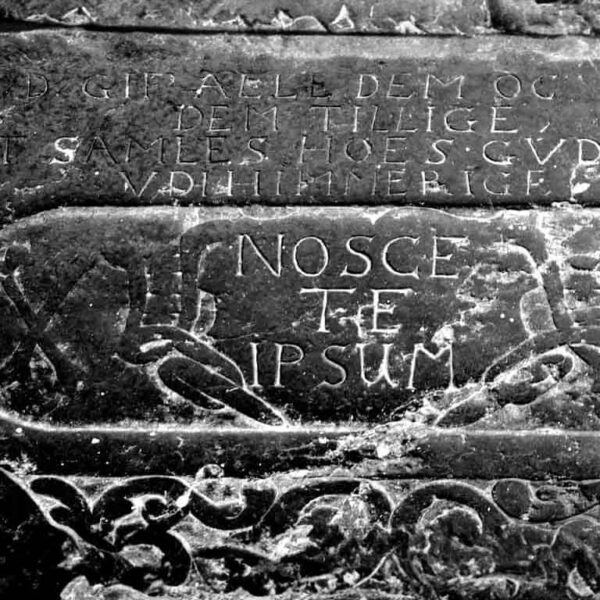 “Nosce te ipsum”: Kendini Bil!